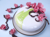 Гель кондитерский "Муар Белый" С (для окрашивания) , (2,5 кг)