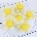 Изделия желейные декоративные "Мармелатье" Цветы Нарцисс, 13 г  уп.20 шт от производителя Фабрики сладкого декора tdfsd.ru
