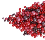 178 Драже зерн. взорв. зерна риса в цв.конд. глазури Жемчуг (Крас,Малин,Серен) Микс 3раз. 1.5кг от производителя Фабрики сладкого декора tdfsd.ru
