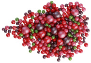 175 Драже зерн.взорв. зерна риса в цв.конд.глазури Жемчуг (Зел,Кра,Мал,Сир)1.5кг от производителя Фабрики сладкого декора tdfsd.ru
175 Драже зерн.взорв. зерна риса в цв.конд.глазури Жемчуг (Зел,Кра,Мал,Сир)1.5кг от производителя Фабрики сладкого декора tdfsd.ru